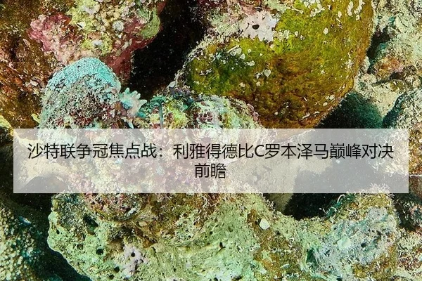 sha-te-lian-zheng-guan-jiao-dian-zhan-li-ya-de-de-bi-luo-ben-ze-ma-dian-feng-dui-jue-qian-zhan-2-285.jpg