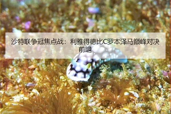 sha-te-lian-zheng-guan-jiao-dian-zhan-li-ya-de-de-bi-luo-ben-ze-ma-dian-feng-dui-jue-qian-zhan-3-832.jpg