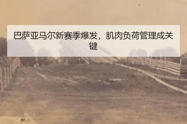 ba-sa-ya-ma-er-xin-sai-ji-bao-fa-ji-rou-fu-he-guan-li-cheng-guan-jian-2-953.jpg