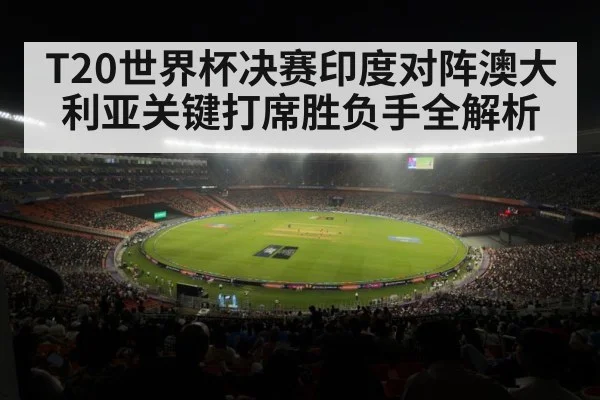 cricket stadium night match